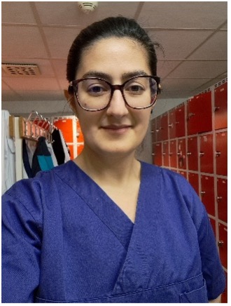 bilde-iii_lavin_2024